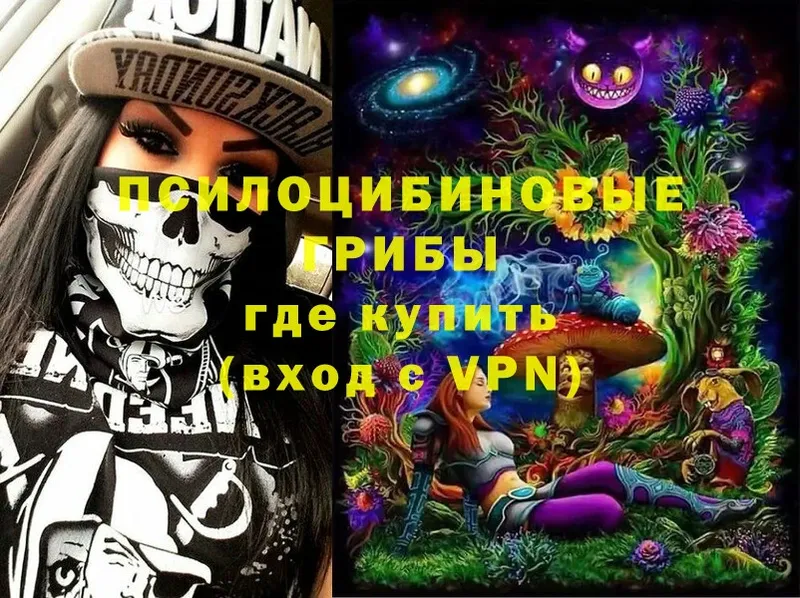 Галлюциногенные грибы MAGIC MUSHROOMS Бежецк